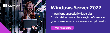 Microsoft Windows Server